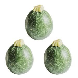 Veggie Spirals
